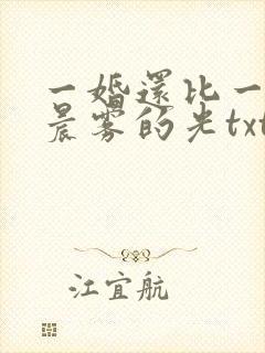 一婚还比一婚高晨雾的光txt