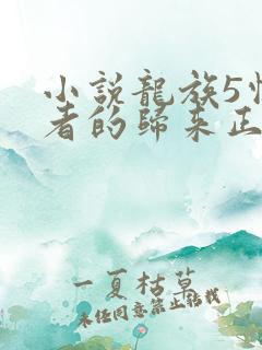 小说龙族5悼亡者的归来正版免费