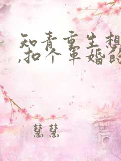 知青重生想逍遥,扣个军婚的小说
