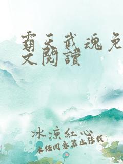 霸天武魂免费全文阅读