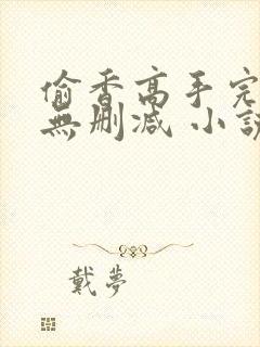 偷香高手完整版无删减 小说