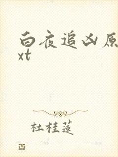 白夜追凶原著txt