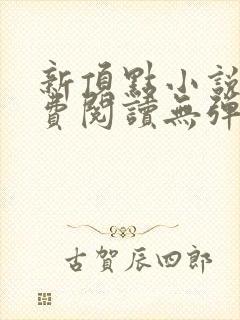 新顶点小说网免费阅读无弹窗