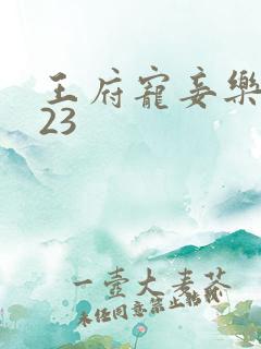 王府宠妾乐文123