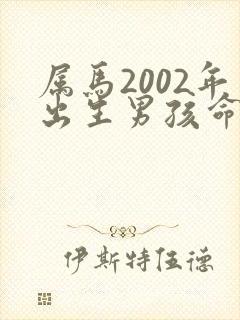 属马2002年出生男孩命运如何