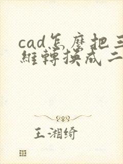 cad怎么把三维转换成二维