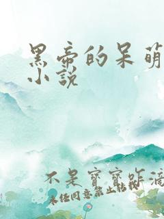 黑帝的呆萌妻 小说