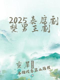 2025泰腐剧双男主剧