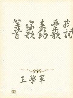 等你来爱我是哪首歌的歌词