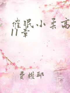 催眠小柔高达第11章