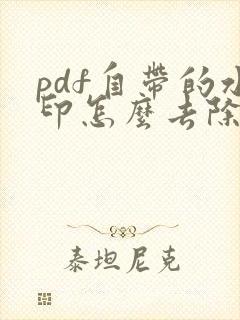 pdf自带的水印怎么去除