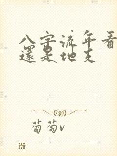 八字流年看天干还是地支