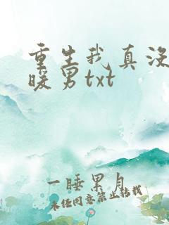 重生我真没想当暖男txt