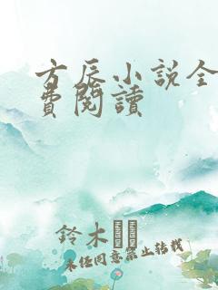 方辰小说全文免费阅读