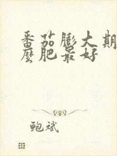 番茄膨大期追什么肥最好