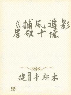 《捕风追影》票房破十亿