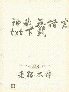 神藏无错完整版txt下载
