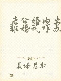 老公婚内出轨提离婚我咋办