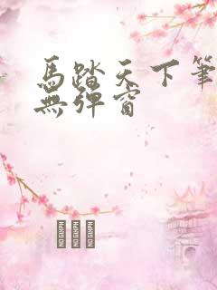 马踏天下笔趣阁无弹窗