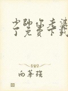 少帅你老婆又跑了免费下载全本