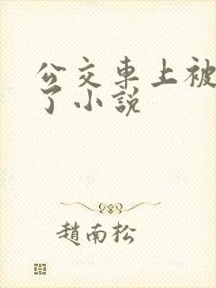 公交车上被乱操了小说