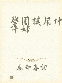 学围棋用什么软件好