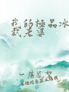 我的极品冰山总裁老婆