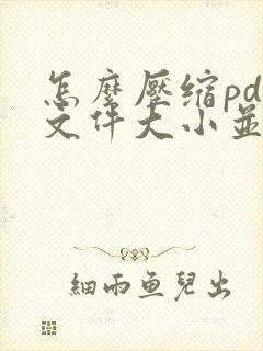 怎么压缩pdf文件大小并保持清晰度
