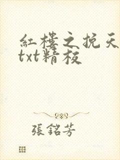 红楼之挽天倾无txt精校