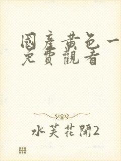 国产黄色一级片免费观看