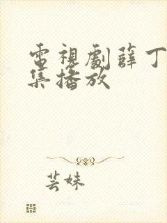 电视剧薛丁山全集播放