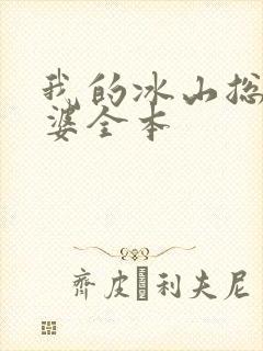 我的冰山总裁老婆全本