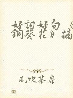 好词好句 《青铜葵花》摘抄