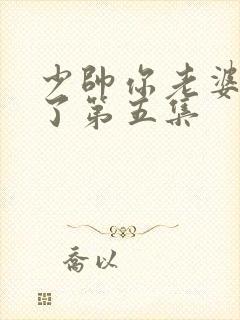 少帅你老婆又跑了第五集
