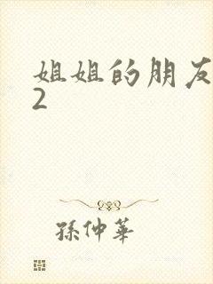 姐姐的朋友中文2