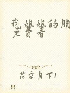 我姐姐的朋友2免费看