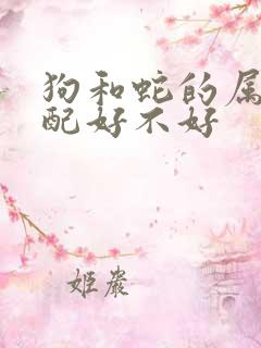 狗和蛇的属相婚配好不好