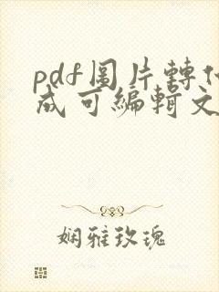 pdf图片转化成可编辑文字