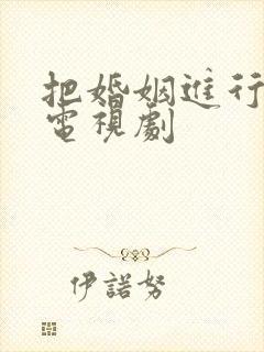 把婚姻进行到底电视剧