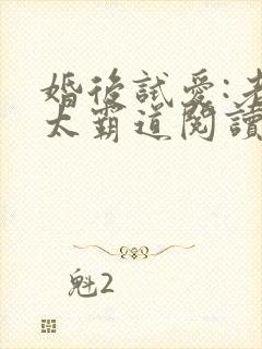 婚后试爱:老公太霸道阅读全文全文
