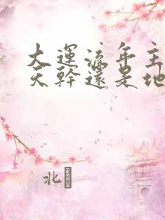 大运流年主要看天干还是地支