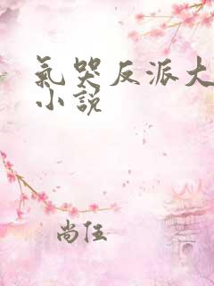气哭反派大小姐小说