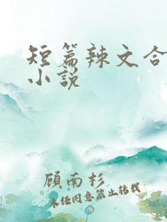 短篇辣文合集的小说
