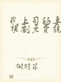 我上司的妻子电视剧免费观看