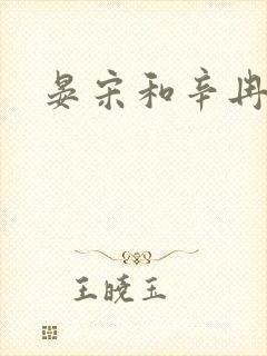 晏宋和辛冉番外