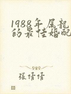 1988年属龙的最佳婚配对象