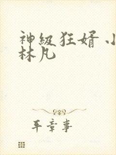 神级狂婿 小说林凡