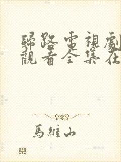 归路电视剧免费观看全集在线播放