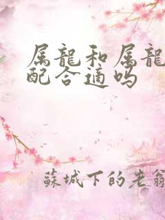 属龙和属龙的婚配合适吗