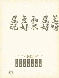 属兔和属羊的婚配好不好呀